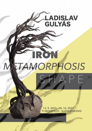 Ladislav Gulyás - Iron Metamorphosis shape 1