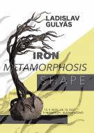 Iron Metamorphosis shape Gulyás László 1