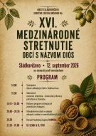 XVI. Medzinárodné stretnutie obcí s názvom Diós 1
